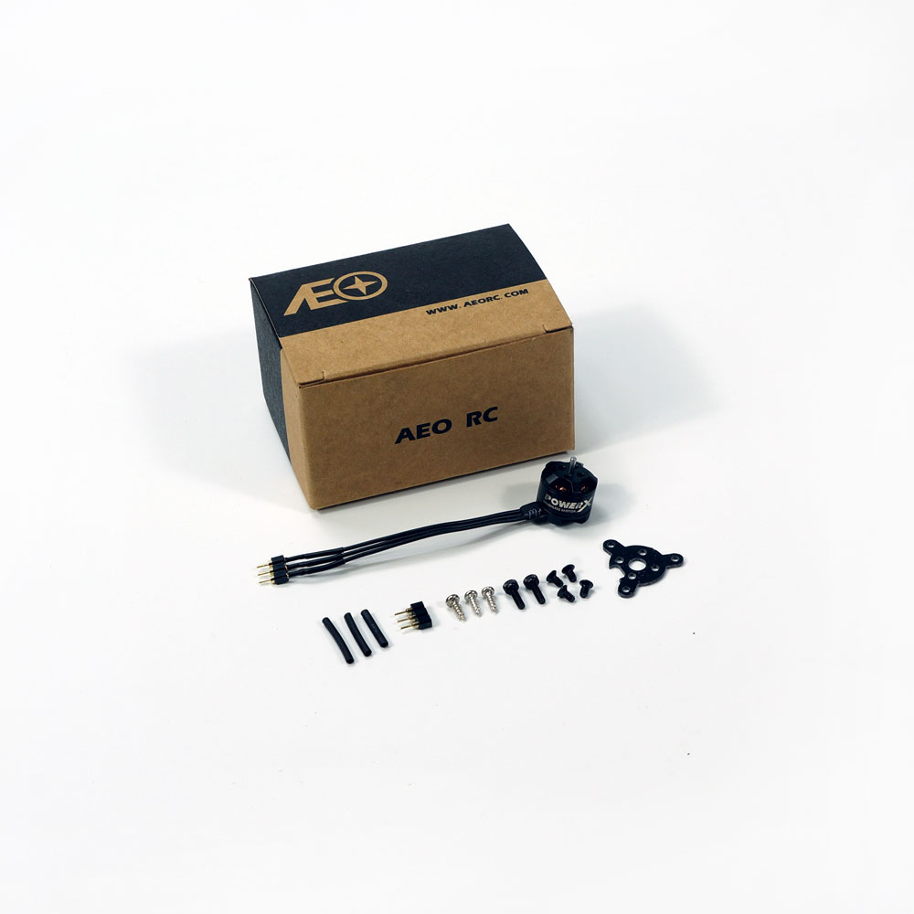 Mini Micro MC1106 3800KV Brush - Rc Plane Hobby Zone ulasan dan harga